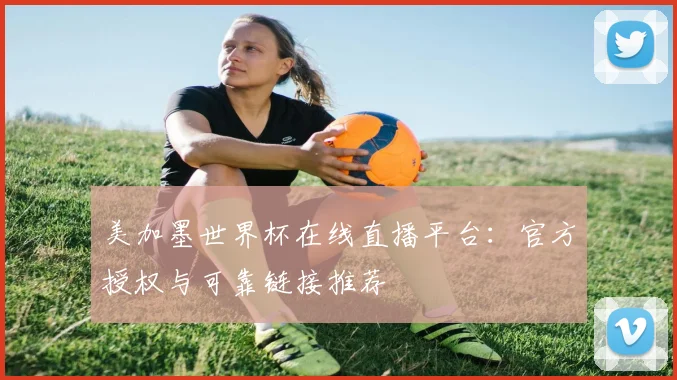 美加墨世界杯在线直播平台：官方授权与可靠链接推荐